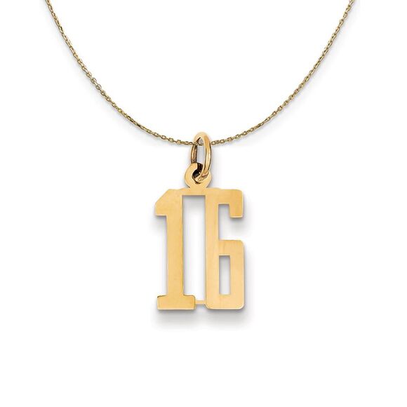 14k Yellow Gold, Alumni Small Elongated Number 16 Necklace - 24 Inch - Picture 1 of 7